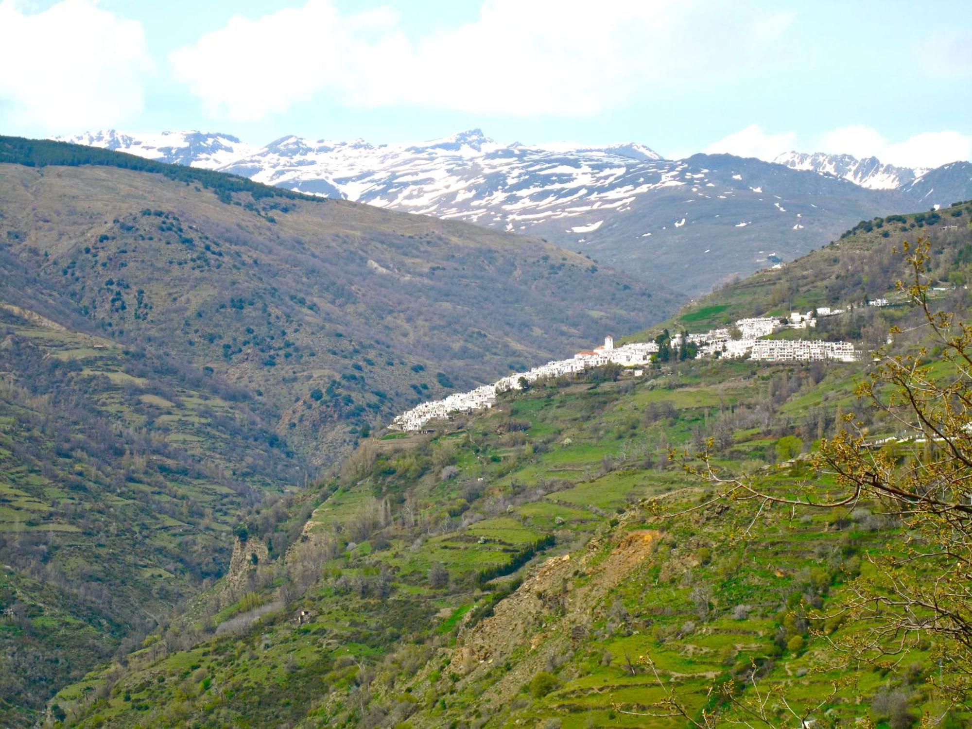 Rural House, Heated Pool & Steam Room, Casa Aloe. Atalbeitar Εξωτερικό φωτογραφία