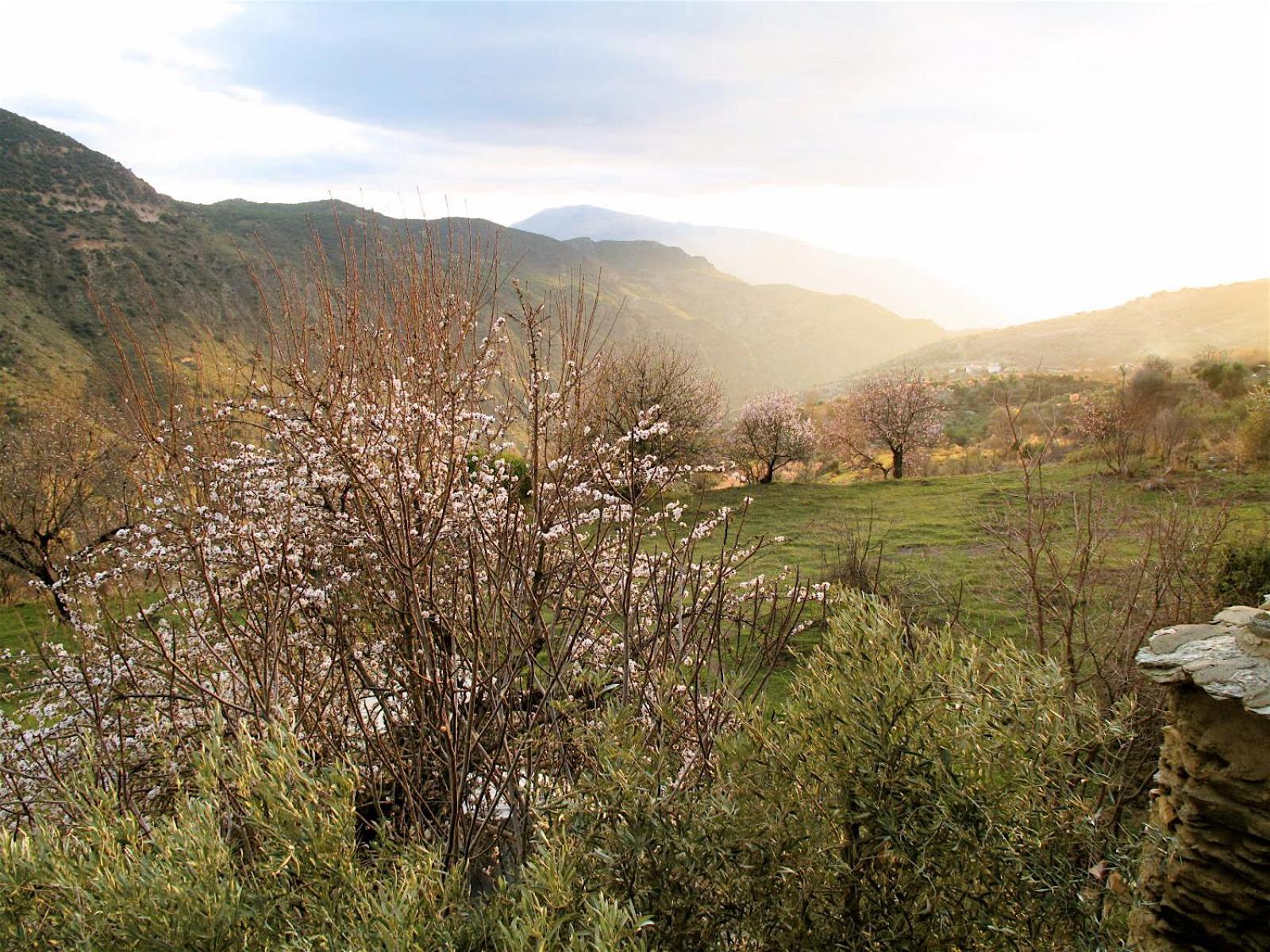 Rural House, Heated Pool & Steam Room, Casa Aloe. Atalbeitar Εξωτερικό φωτογραφία