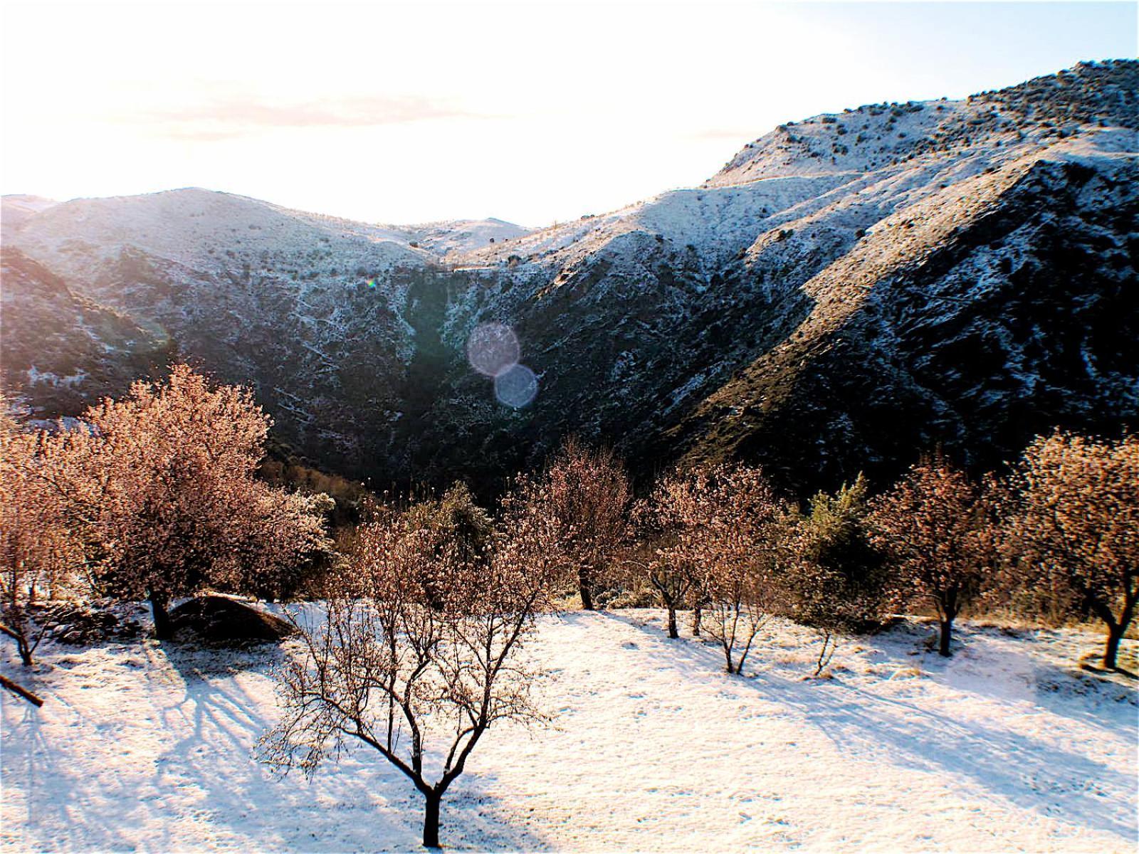 Rural House, Heated Pool & Steam Room, Casa Aloe. Atalbeitar Εξωτερικό φωτογραφία