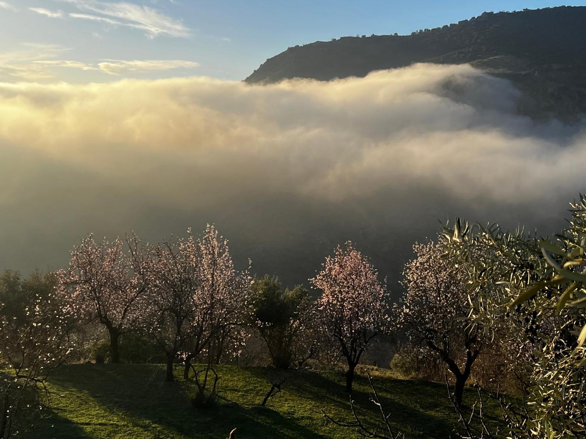 Rural House, Heated Pool & Steam Room, Casa Aloe. Atalbeitar Εξωτερικό φωτογραφία